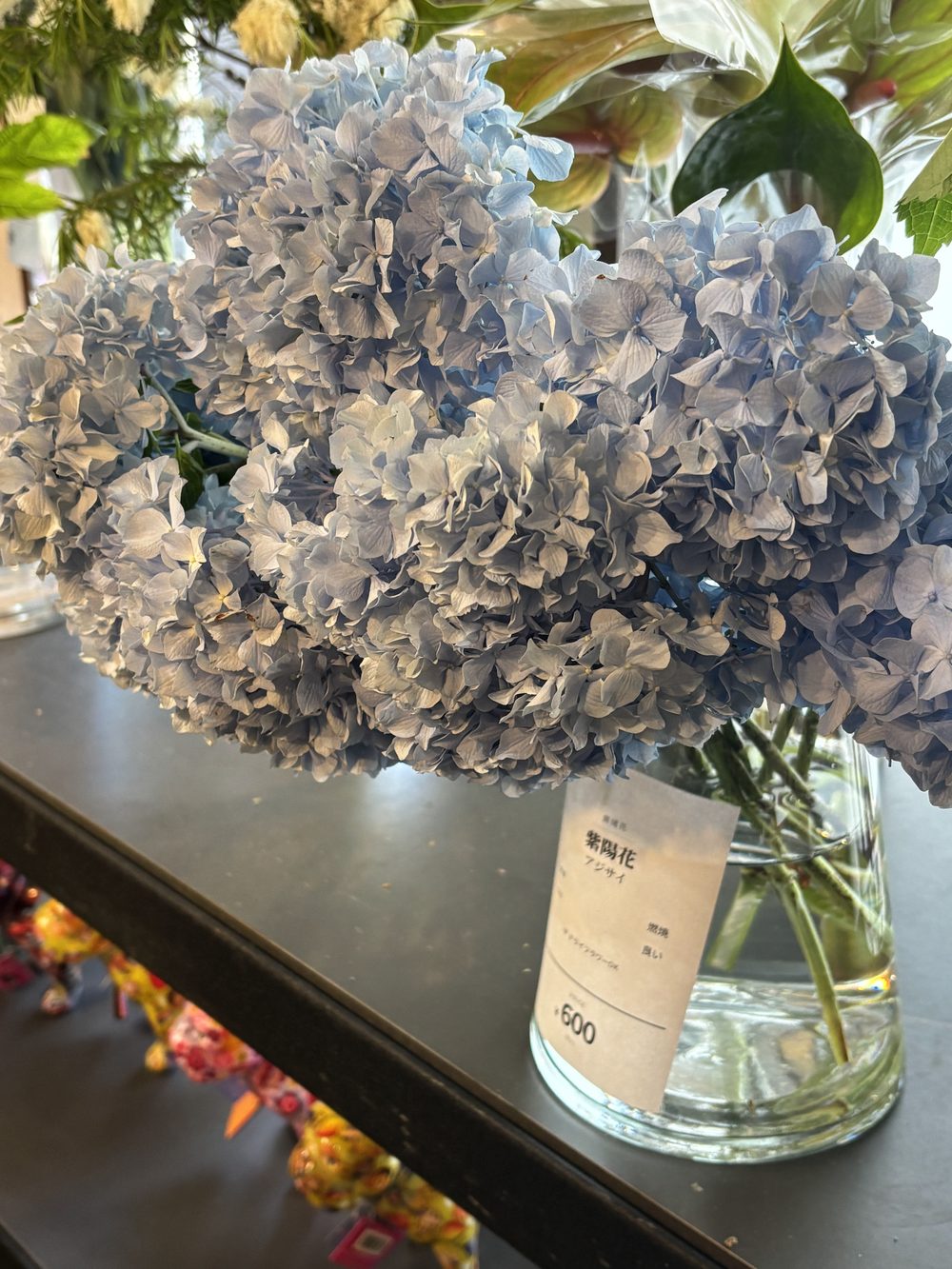 店頭に入荷した水色の紫陽花（あじさい）｜高松・白坂花店