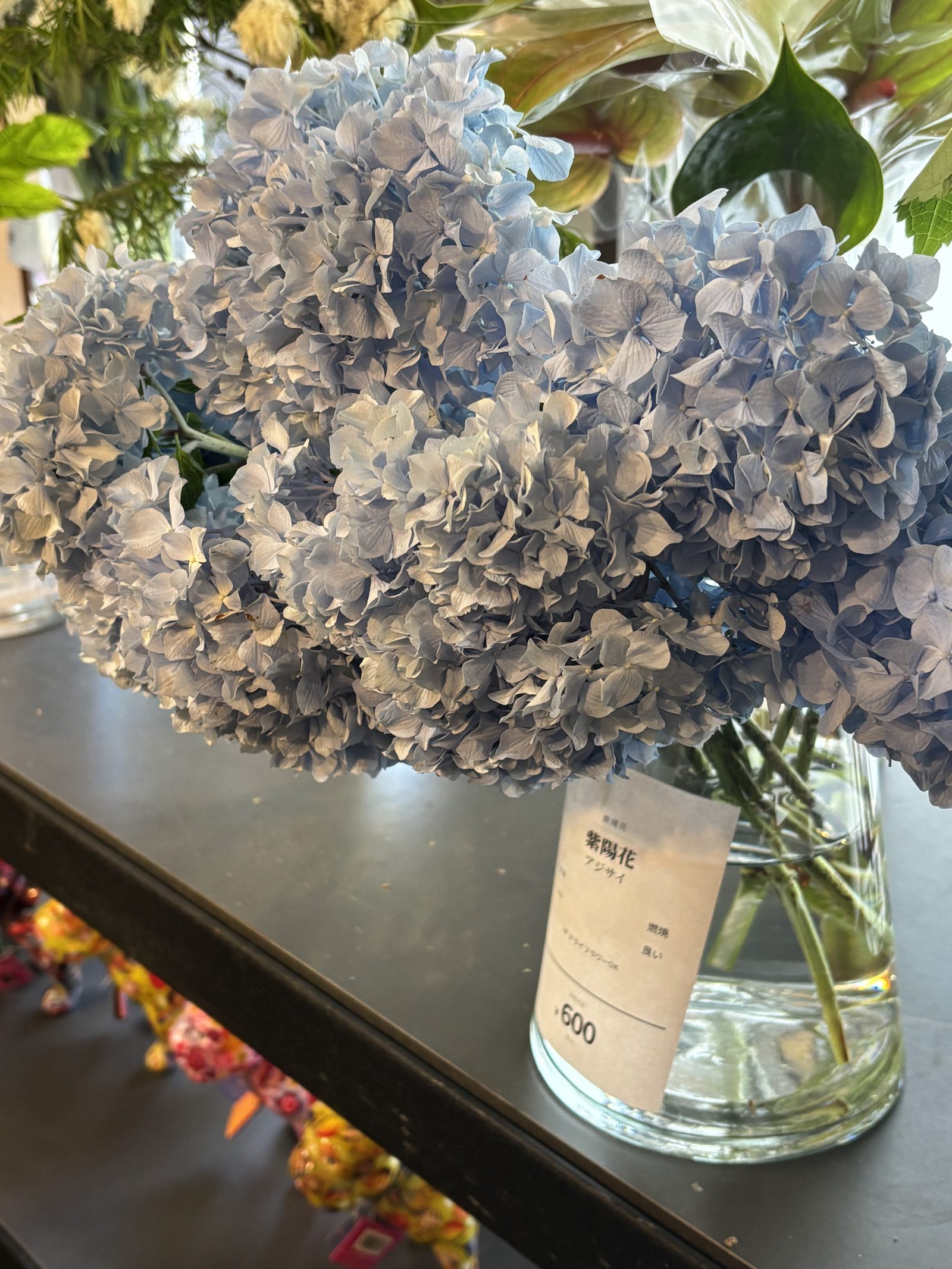 高松・白坂花店の店頭に並んだ水色の紫陽花(あじさい)