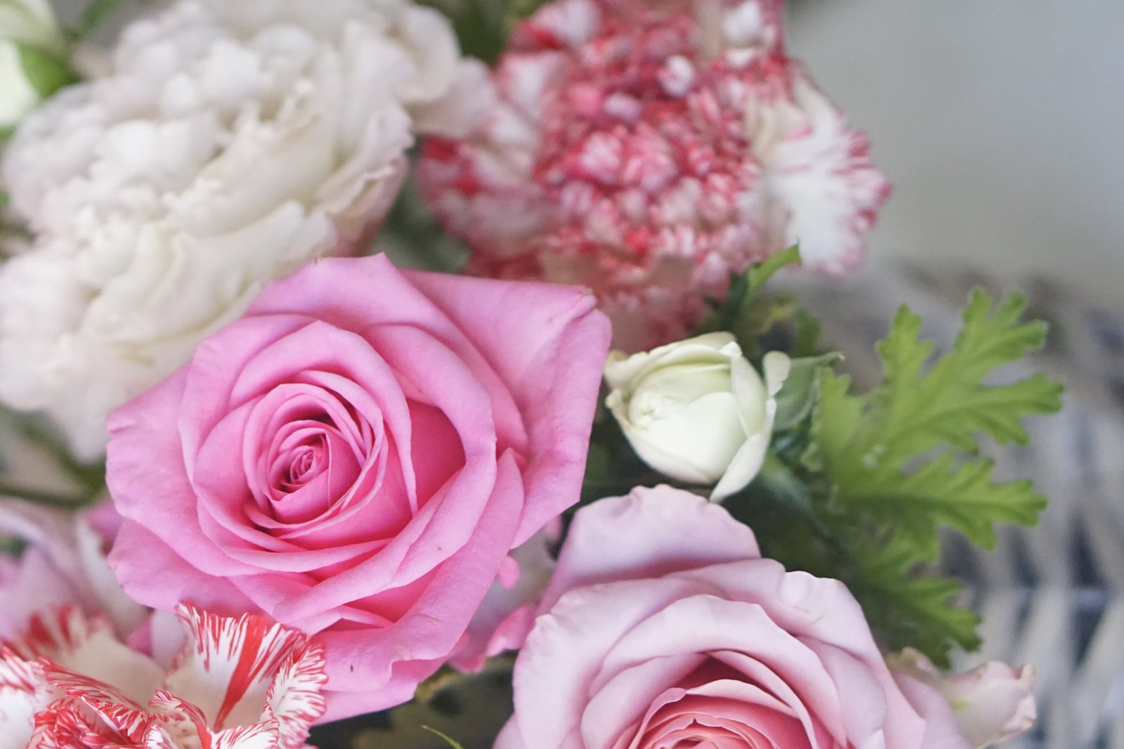 ピンクのバラと赤白のカーネーションを組み合わせた花束