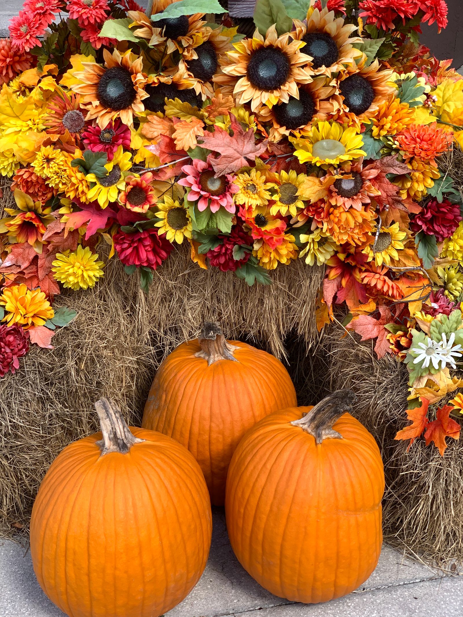 パンプキンと秋の花を飾ったハロウィンディスプレイ