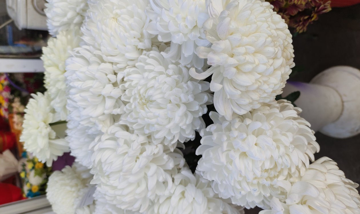 お彼岸のお供えにふさわしい淡い色合いの花